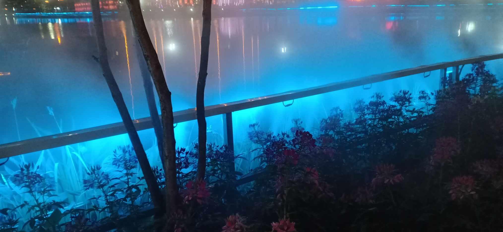 虫虫助手下载